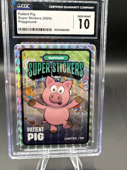 Patient Pig