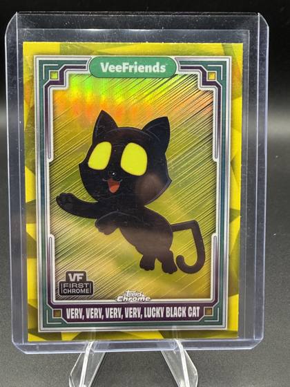 Very, Very, Very, Very Lucky Black Cat