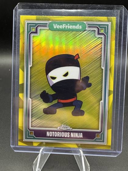 Notorious Ninja
